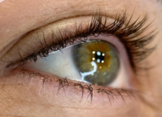 Lash Liner — foto do portfólio de Mariana Spíndola